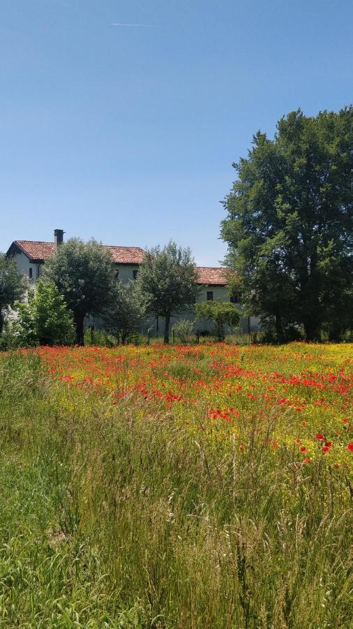 Porte Di Venezia, Tessera Aeroporto Фаваро-Венето Екстер'єр фото